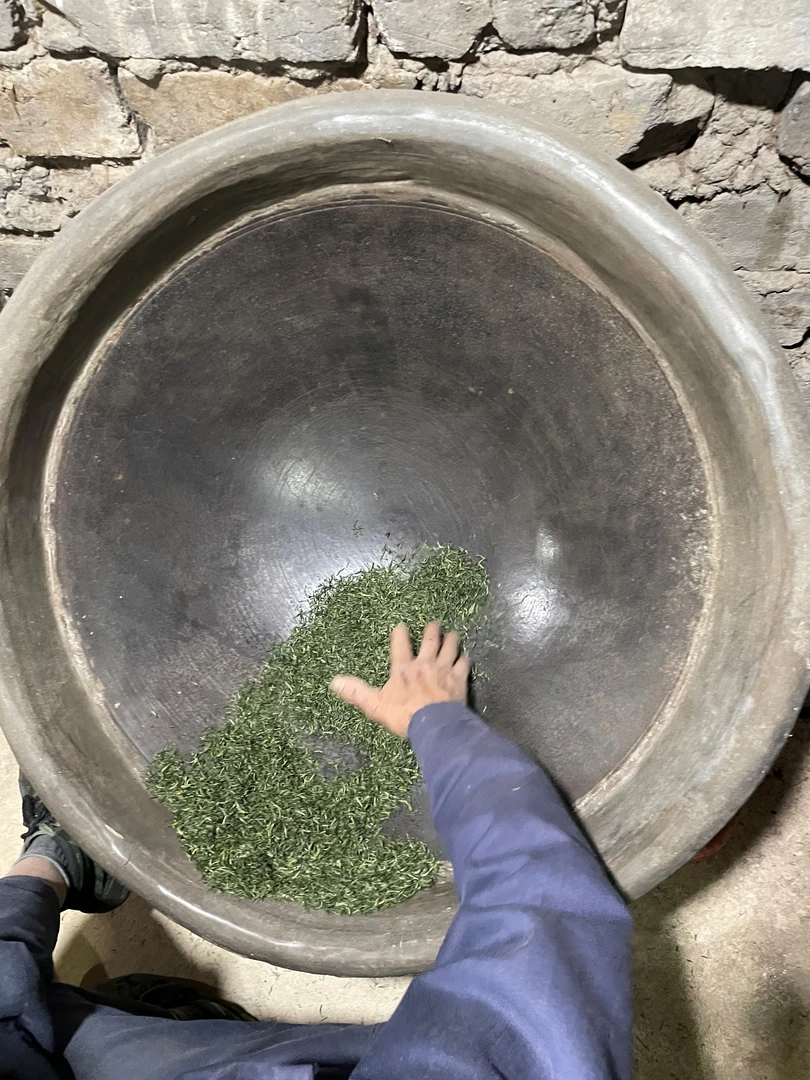 信阳毛尖茶叶老茶友精选