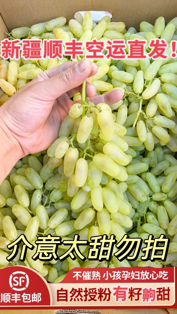 真正的新疆白马奶提葡萄，新疆顺丰空运直发！齁甜！介意太甜勿拍！