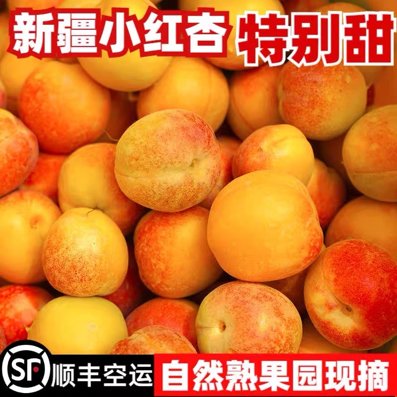 【顺丰空运】新疆杏子吊干杏（小红杏）爆甜，新疆直发顺丰奶油