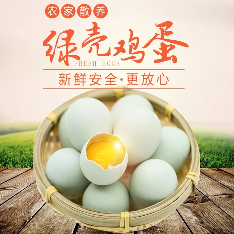 苏北林地散养土鸡蛋 谷物青壳草鸡蛋50枚装 不喂饲料无激素