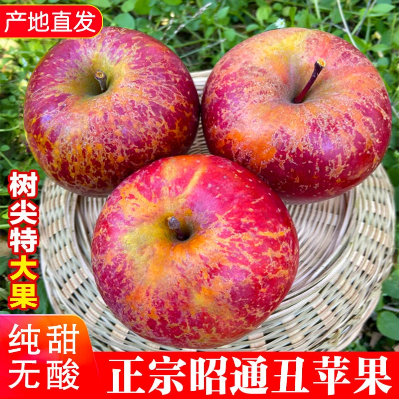 现摘云南昭通丑苹果冰糖心苹果水果新鲜脆甜当季整箱红富士批精品