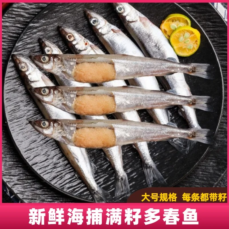 【小二与海】新鲜满籽多春鱼大大号海捕速冻多籽鱼每包300g*5包顺丰