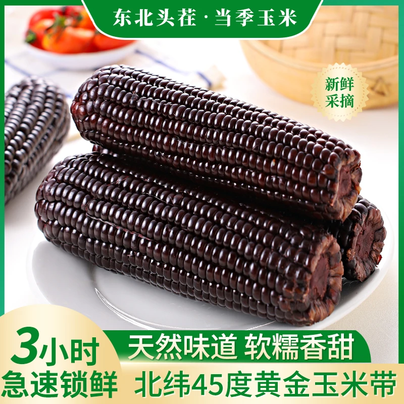 【可试吃1支】东北新黑糯玉米10支装整箱2400克