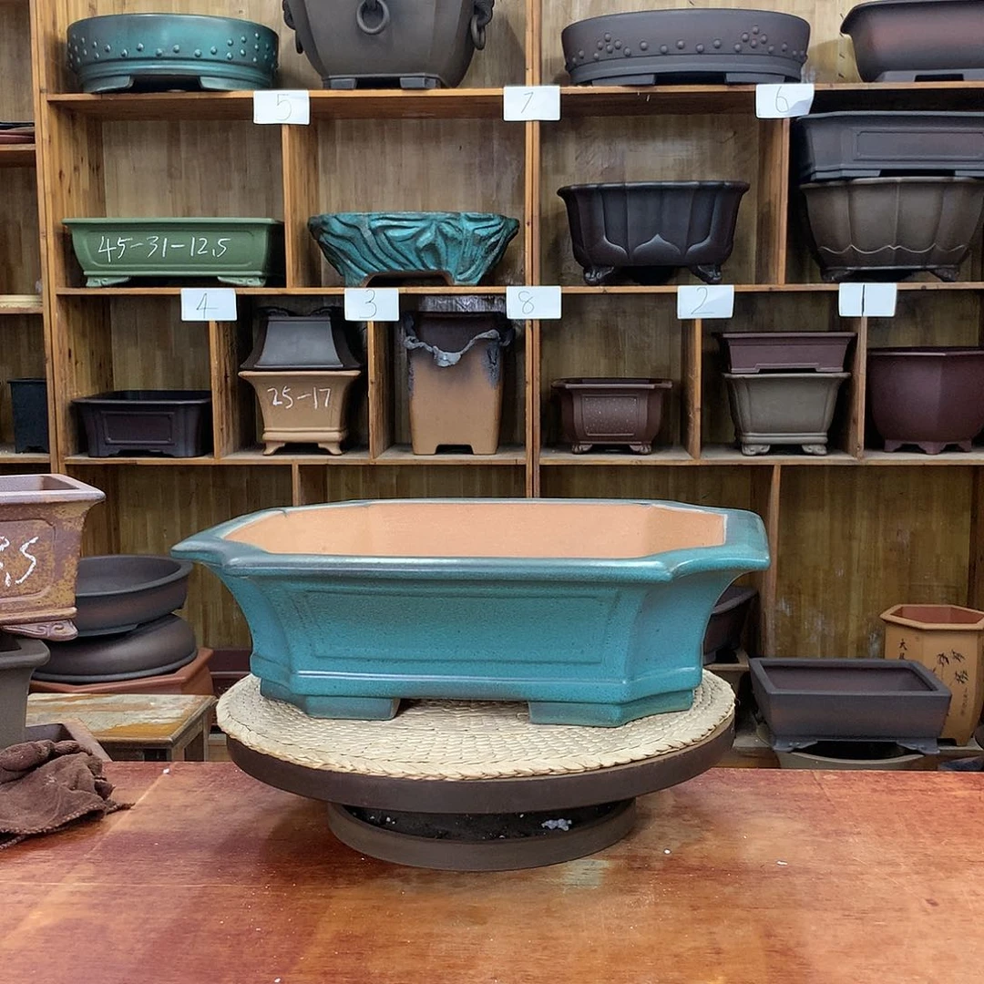 红陶20CM（含）-50CM（不含）乡**胡