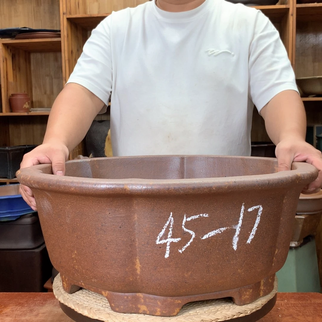 红陶20CM（含）-50CM（不含）盆**景