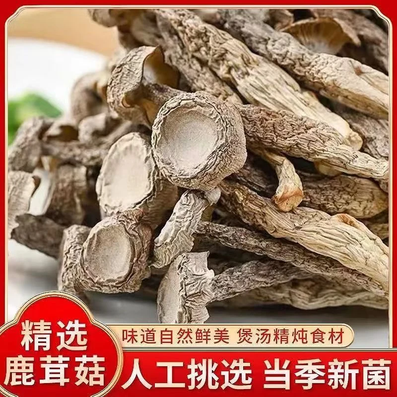 【闽鳌精选】新鲜自产采摘挑选鹿茸菇干货脆脆菇煲汤蘑菇脆爽实惠