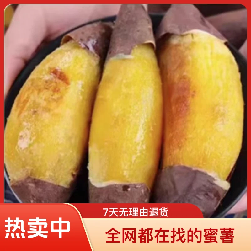 全网都在找的蜜薯。全网宝妈们强烈推荐