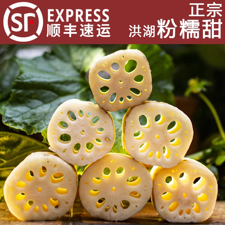 精选正宗洪湖粉藕 煲汤新鲜粉藕 洪湖原生态莲藕湖北藕汤粉糯
