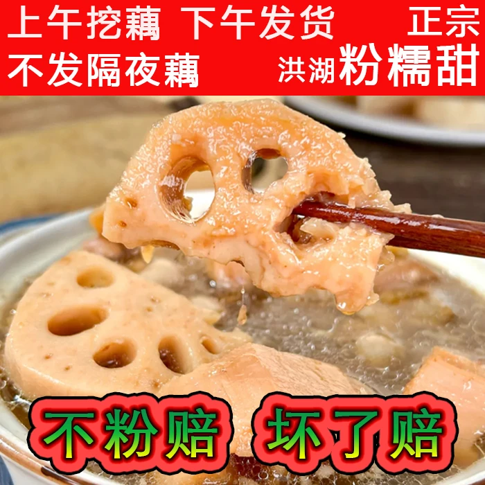 正宗洪湖粉藕 煲汤新鲜粉藕 洪湖原生态莲藕湖北藕汤粉糯