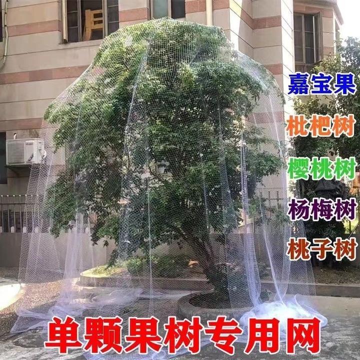 全新果树尼龙防鸟网农用防鸟丝果园嘉宝果树防鸟网罩阳台防鸟用网