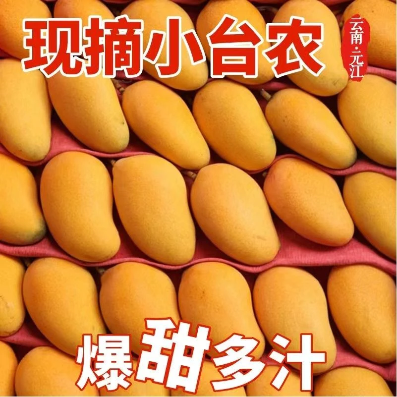 【低价】海南小台农当季新鲜水果台农芒当季拉乌婆婆水果直播包邮