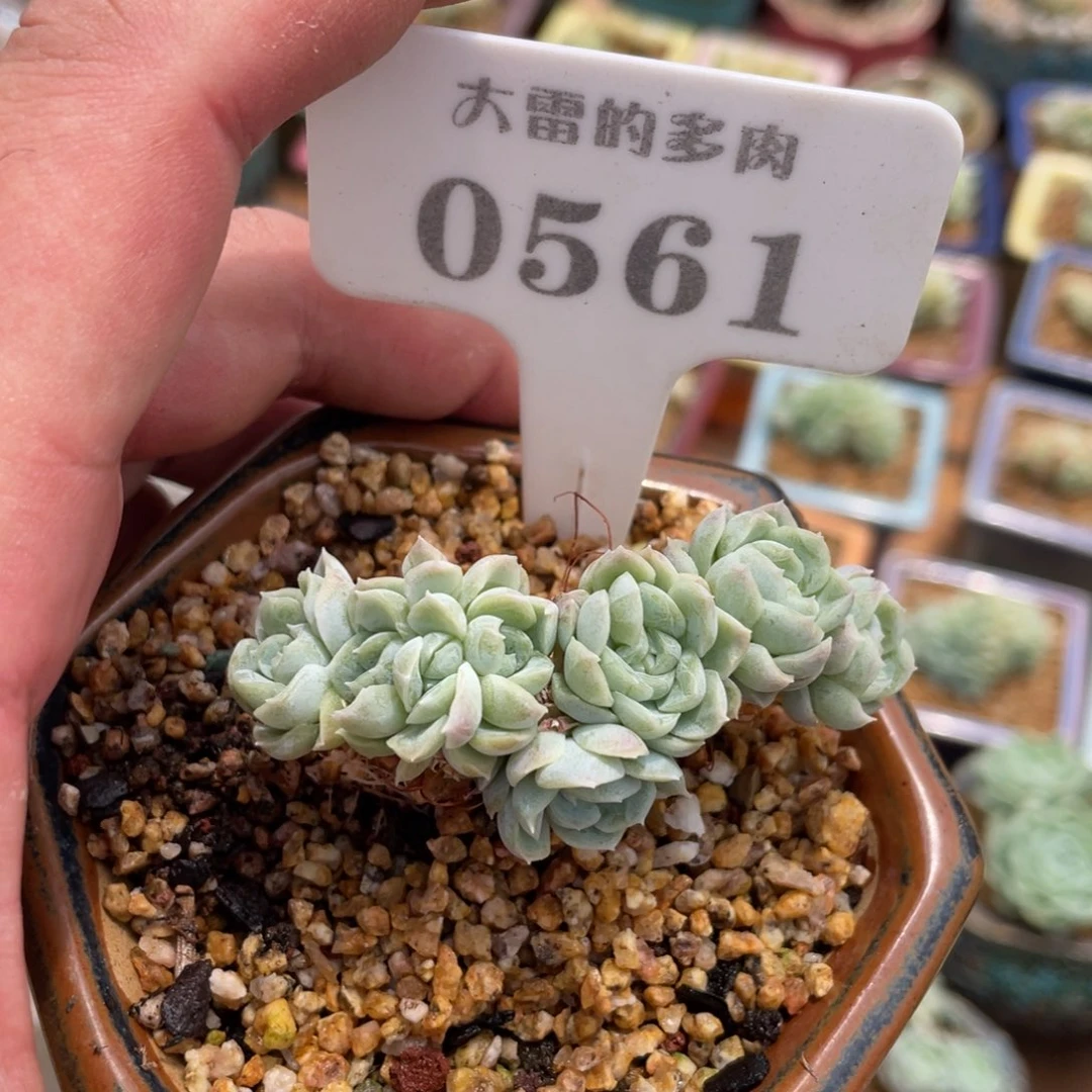 月****✨0561啦啦啦啦