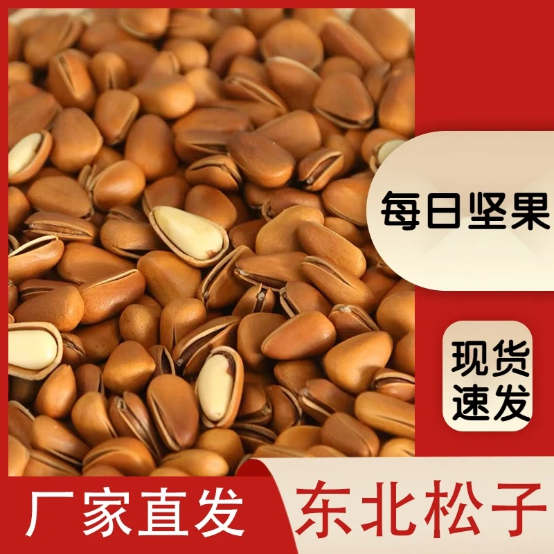 新货东北松子大颗粒净重好吃脆香红松子饱满新鲜现炒