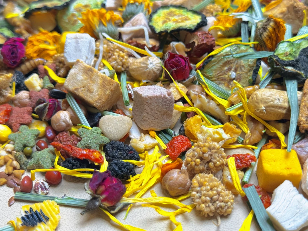 金丝熊人工自配粮食