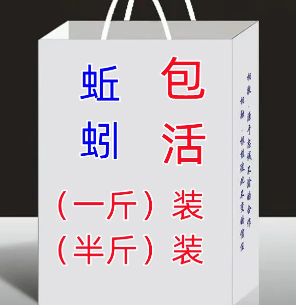 鲜活蚯蚓中大号活饵包邮万能饵料垂钓鲤鱼鲫鱼饵料