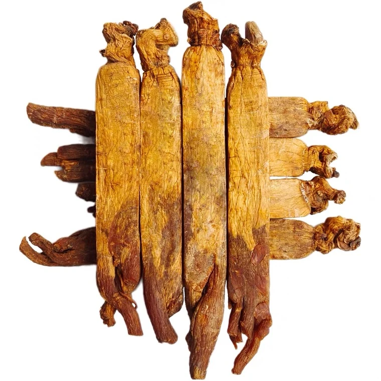 吉林长白山 整枝高丽参