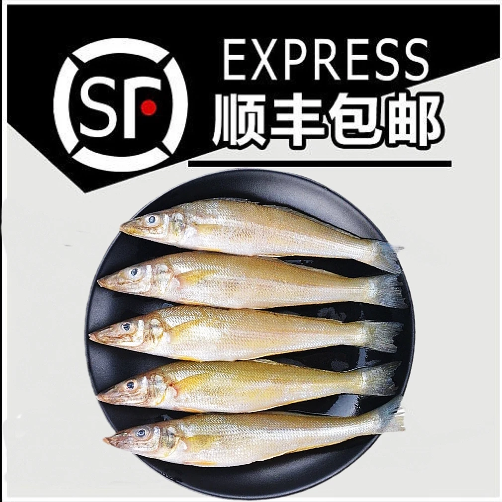 【沙尖鱼】惠来神泉港野生网捕沙尖鱼【5盒】速冻锁鲜食用营养丰富