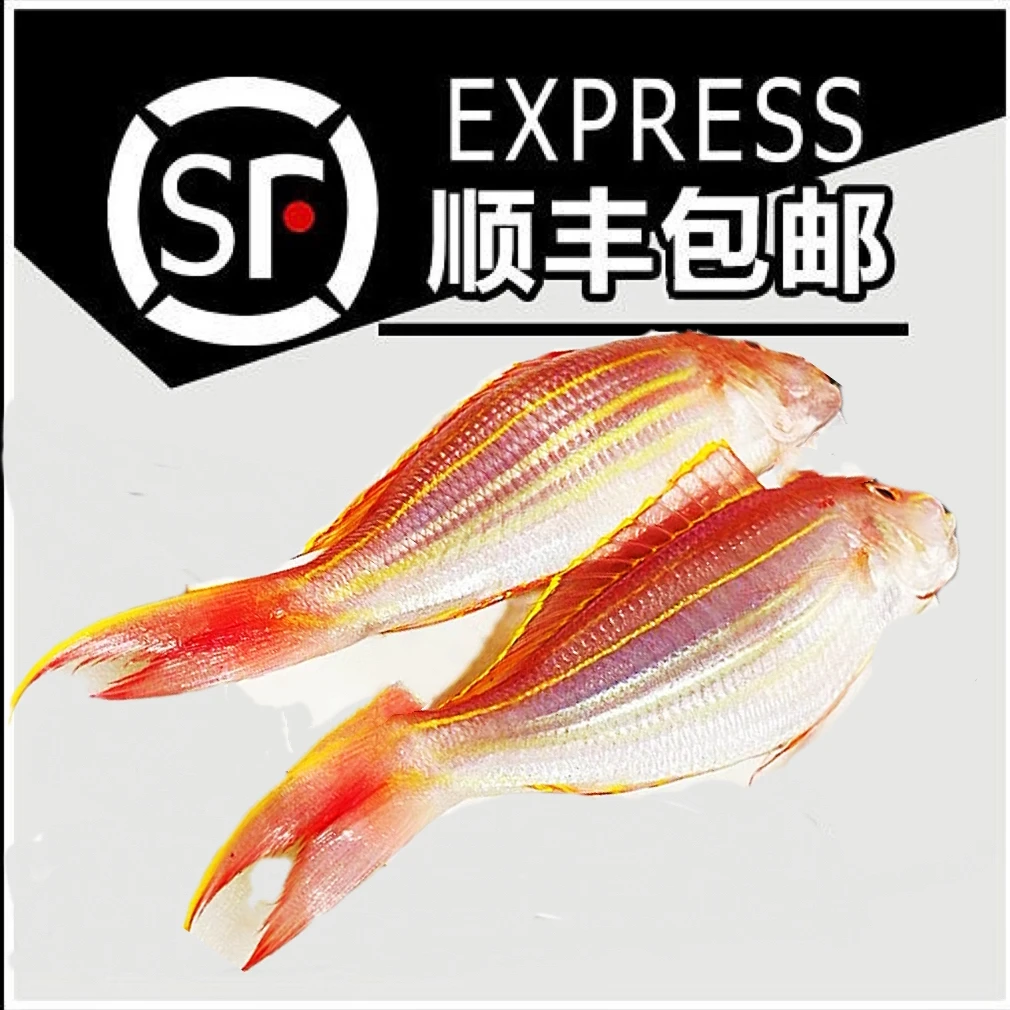 【金线鱼】惠来神泉本港金线鱼【5包】一包约5-6条原产地优选顺丰包邮