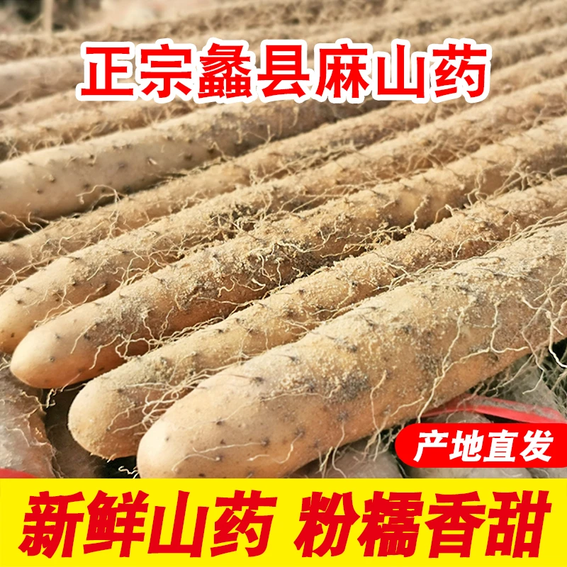 蠡人蠡品新鲜现发河北蠡县小白嘴山药软糯麻山药