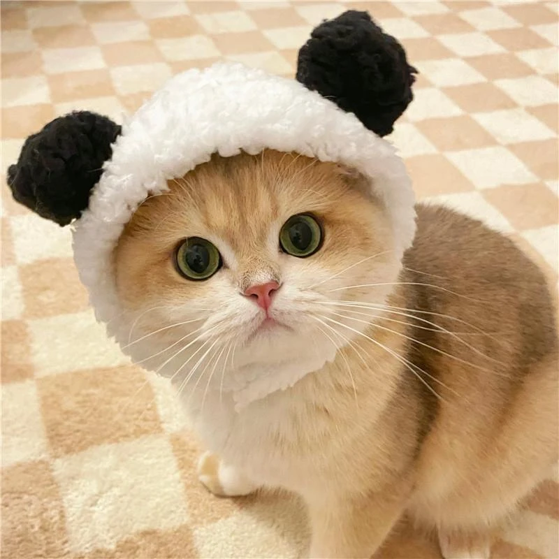 猫咪小熊猫头套可爱变装狗狗兔子头套卡通萌宠物照头饰帽子饰品