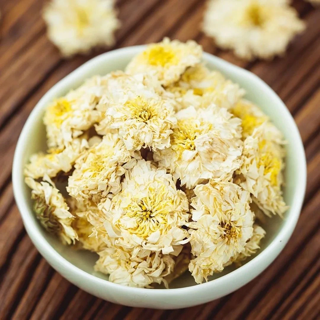 白菊花 道地优选头插花蕾 可搭配枸杞