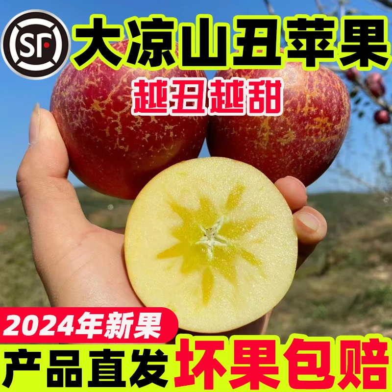 【顺丰发货 又快又新鲜】正宗大凉山丑苹果冰糖心苹果孕妇水果整箱