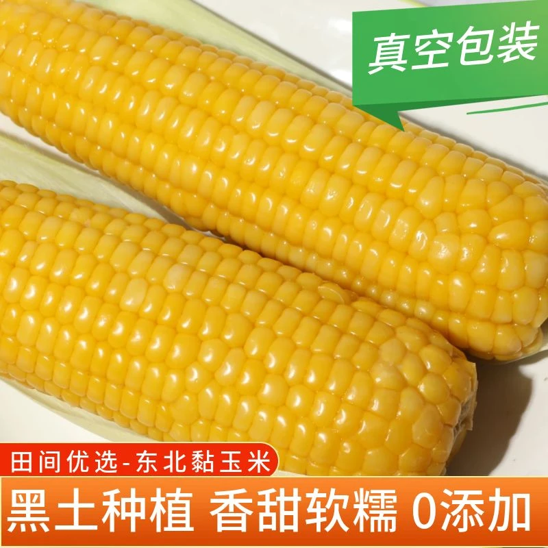 2023年新玉米当正宗东北黄玉米甜嫩玉米10棒260g装新鲜