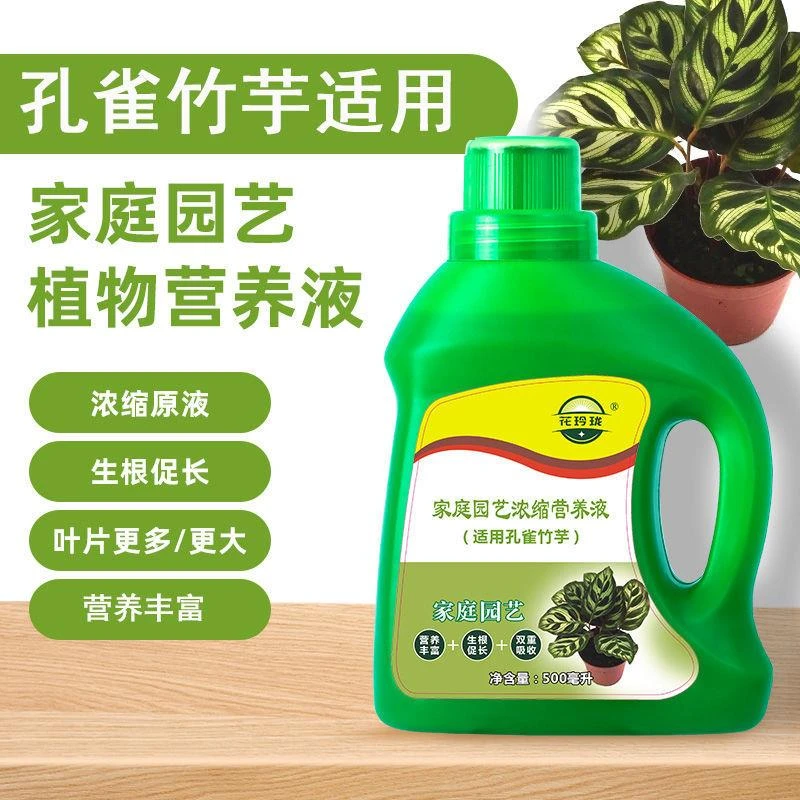 适用于孔雀竹营养液500ml孔雀肖竹芋蓝花蓝马寇氏蓝花蕉