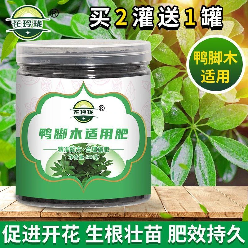 鸭脚木适用肥 花肥有机肥开花生根缓释颗粒肥花卉植物肥料