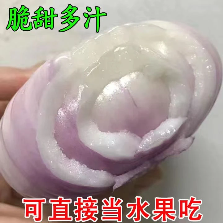 【精选果】新鲜洋葱。清脆饱满微辣多汁