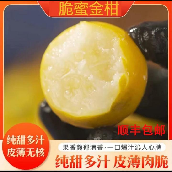 脆密金柑融安第三代脆密金桔果园新鲜当季水果整箱顺丰包邮包甜