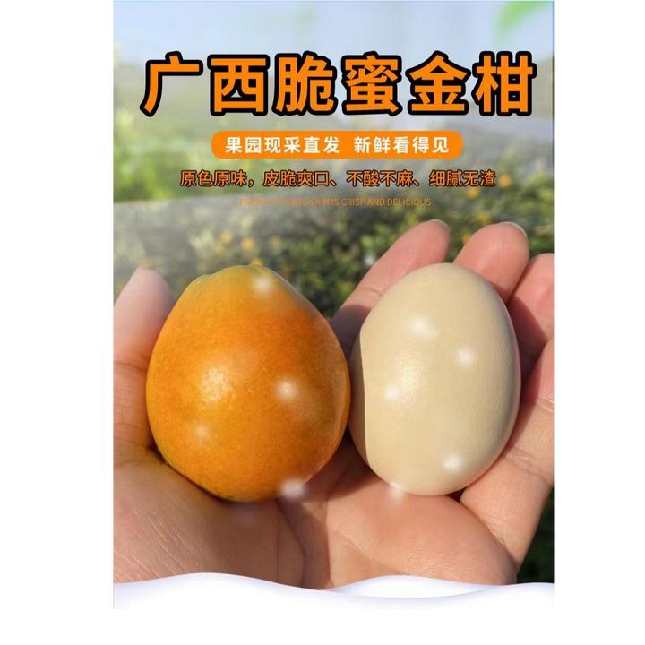 脆密金柑广西第三代脆密金桔新鲜现摘当季水果整箱顺丰包邮包甜