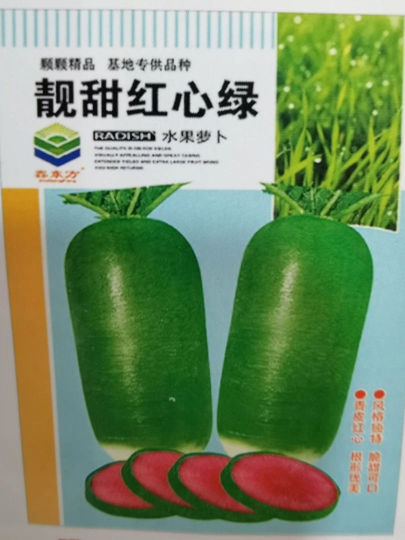 靓甜红心绿水果萝卜种子