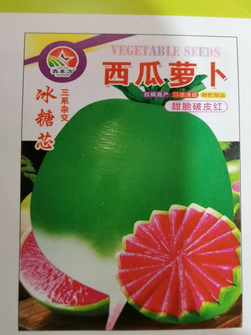 冰糖脆西瓜萝卜种子