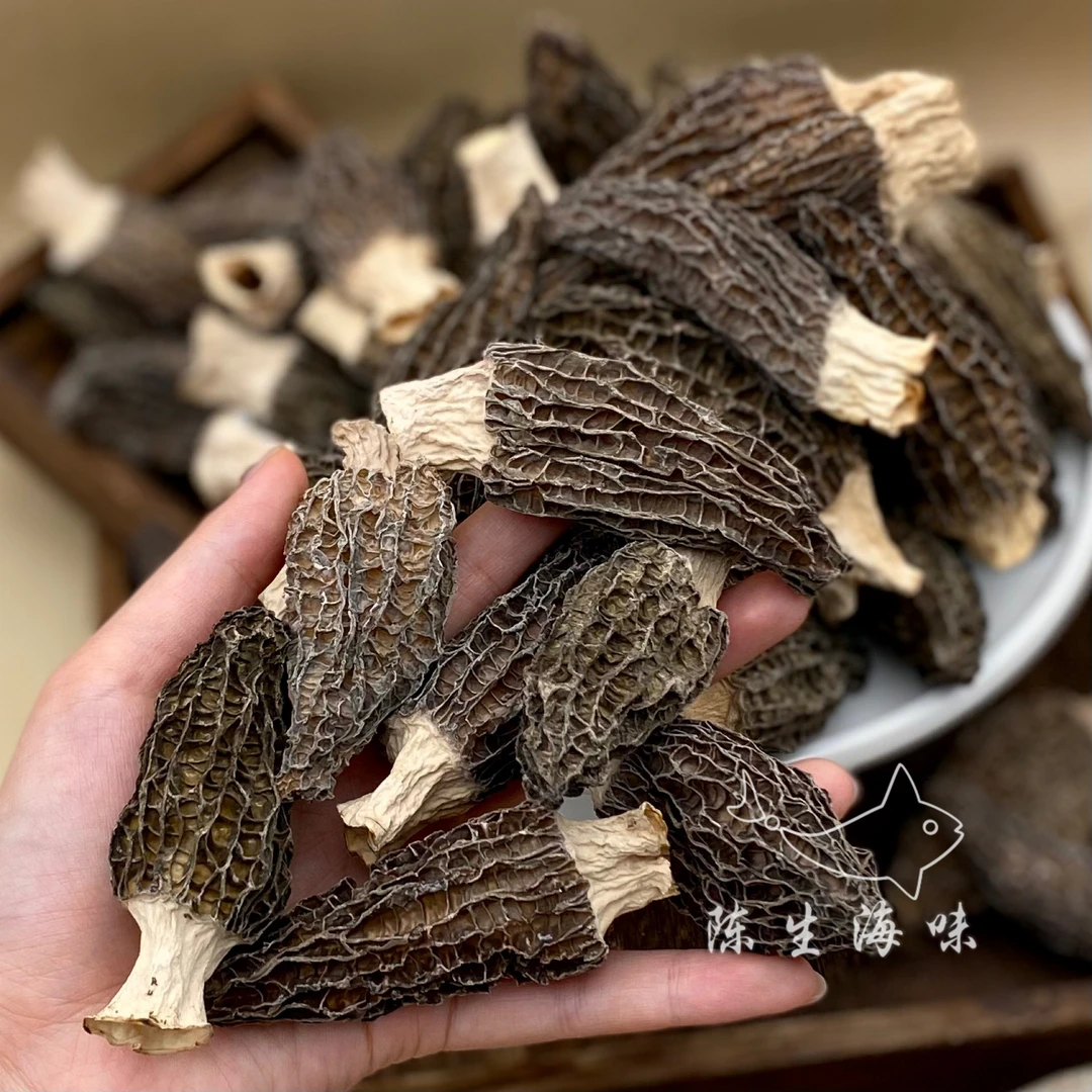 【千滋方】大号羊肚菌