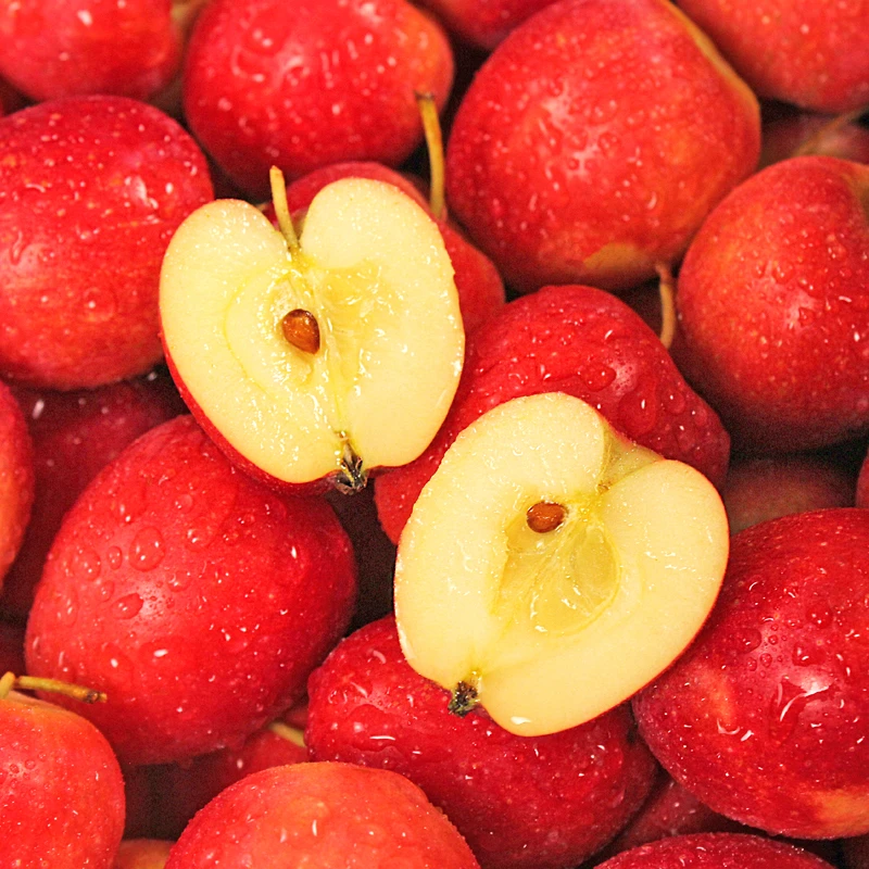 东北鸡心果酸甜脆可口新鲜水果海棠果3斤5斤包邮