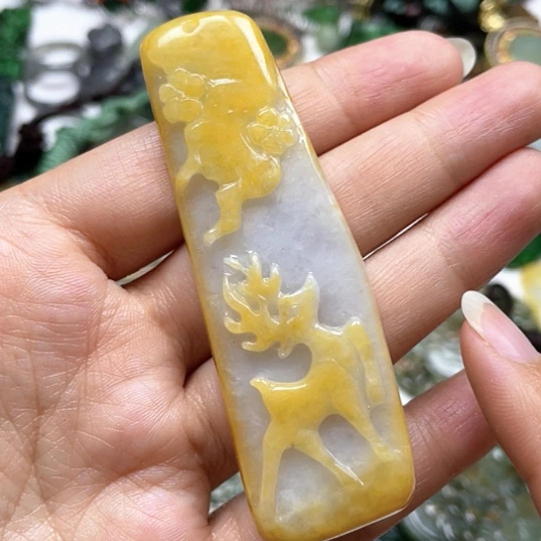 【闪购商品】翡翠颈饰未镶嵌