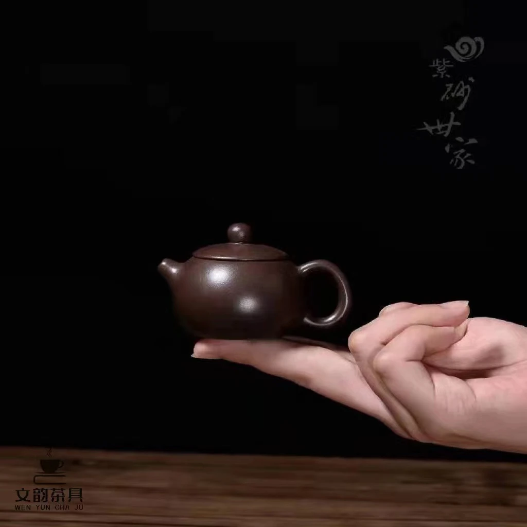 小容量紫砂迷你指尖壶把把壶西施壶少儿茶艺用品茶宠小摆件可锁水