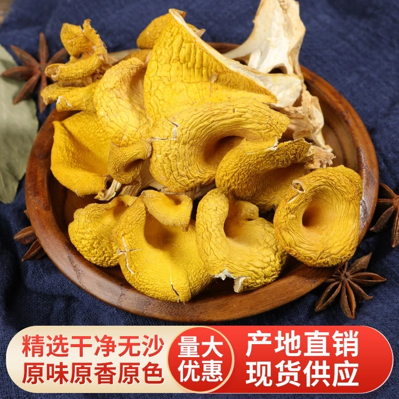 鸡油菌干货新鲜黄金菇好货菌营养菌子菇类甄选老少皆宜