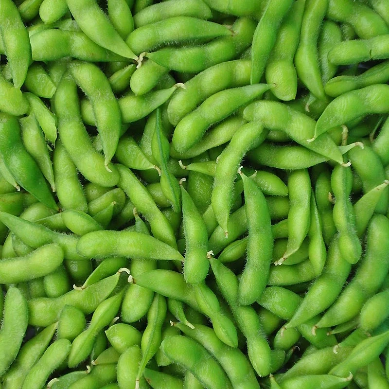 上海本地新鲜毛豆子3斤 送货上门