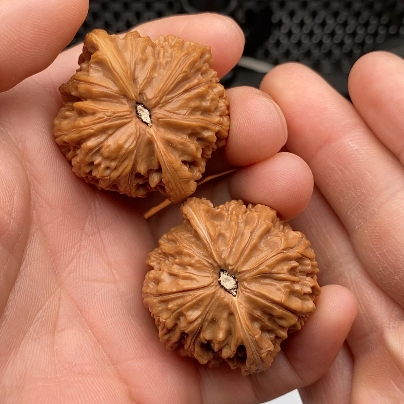 【闪购商品】文玩核桃把件很*糊