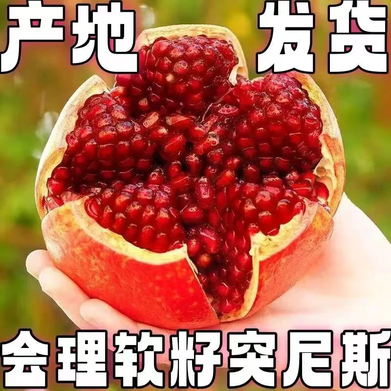 【会理石榴】正宗会理突尼斯会理软籽石榴新鲜水果爆甜不吐籽香甜2