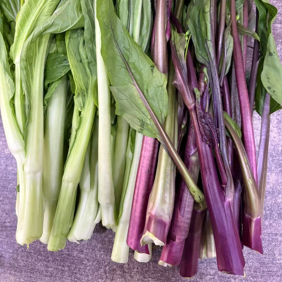 湖北荆州农家自种露天青菜苔红菜苔2斤包邮