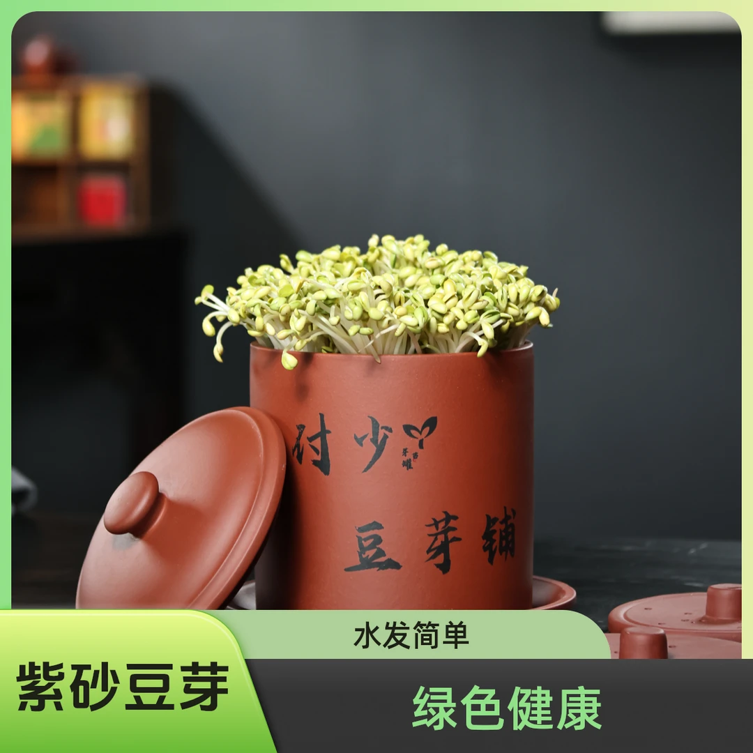 [中号]紫砂豆芽罐古方发豆芽自来水发参与植物生长健康美味零添加