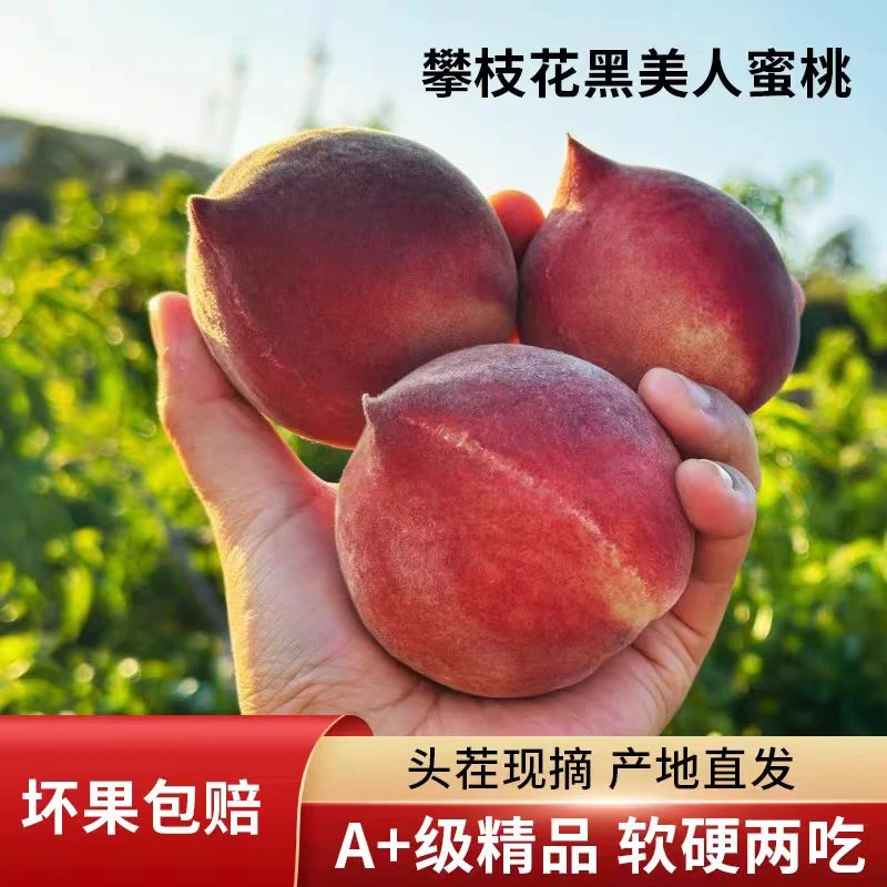 顺丰包邮攀枝花黑美人脆桃水蜜桃鹰嘴桃现摘现发4.5-5斤装
