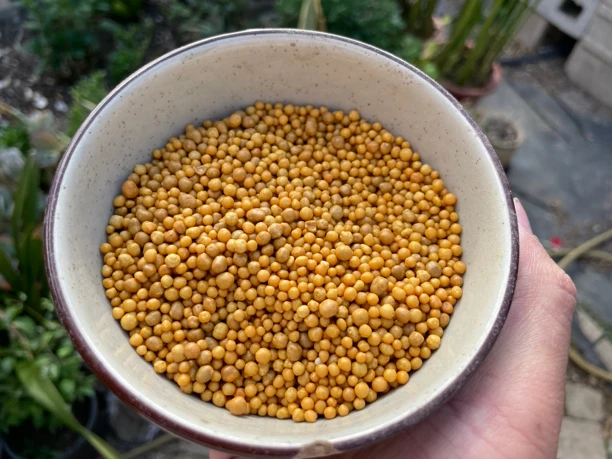 奥绿A2缓释肥多肉植物专用