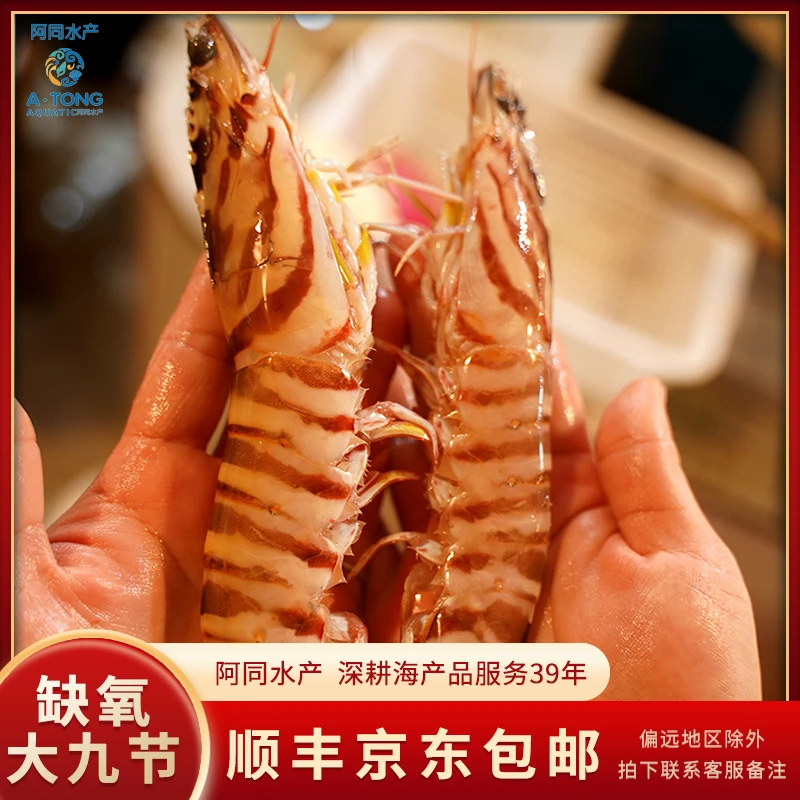 【阿同优选】缺氧大九节虾基围虾斑节虾鲜嫩可口直播间现称