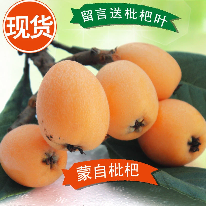 【顺丰快递-现货】蒙自枇杷5斤/2斤 新鲜水果云南枇杷果