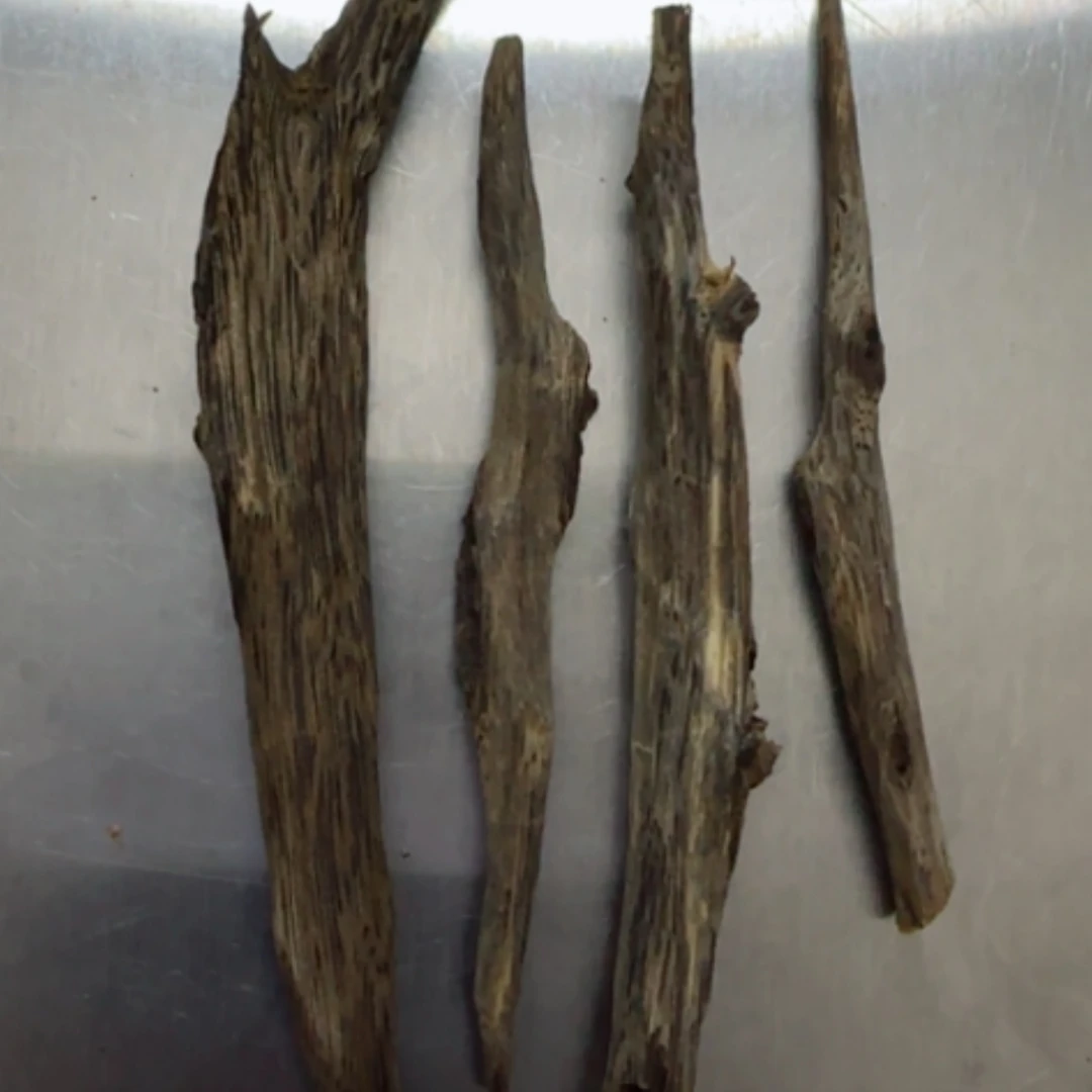 【闪购商品】树心油4根5.3克＊