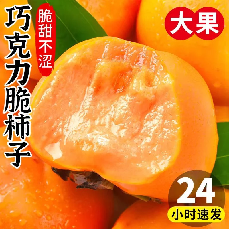 【巧克力脆柿】山西运城冰糖心脆柿子应季新鲜水果阳丰甜脆柿